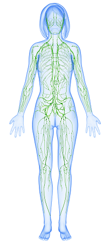 7 Ways to Improve Lymphatic Health in Austin